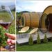 Nu kan du booke dig ind op et vinhotel - hvor man sover, bor og drikker vin i en gigantisk vintønde!