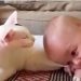 Familiens guldklump tager fat i kattens bagben - se nu dens reaktion, der har fået millioner til at grine!